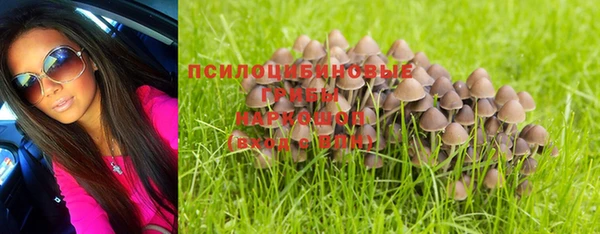 стафф Белоозёрский