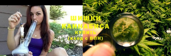 Альфа ПВП Белокуриха