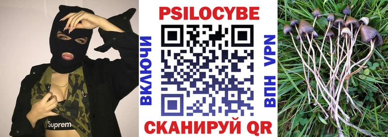 Купить  Анадырь  Галлюциногенные грибы Psilocybine cubensis 