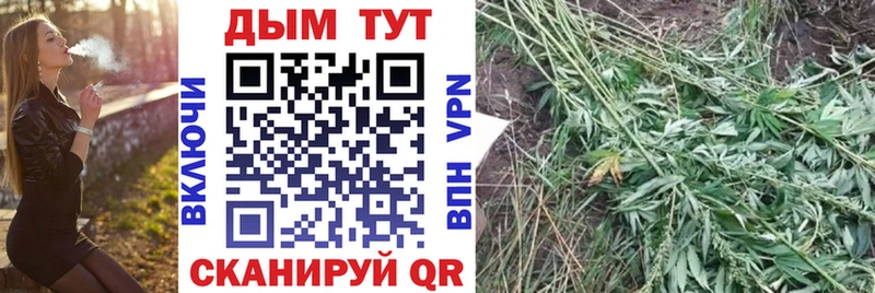 Купить  Анадырь  Каннабис VHQ 